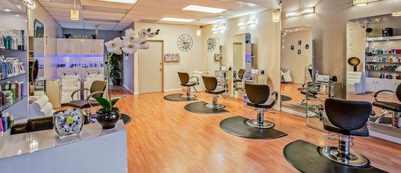 Salon
